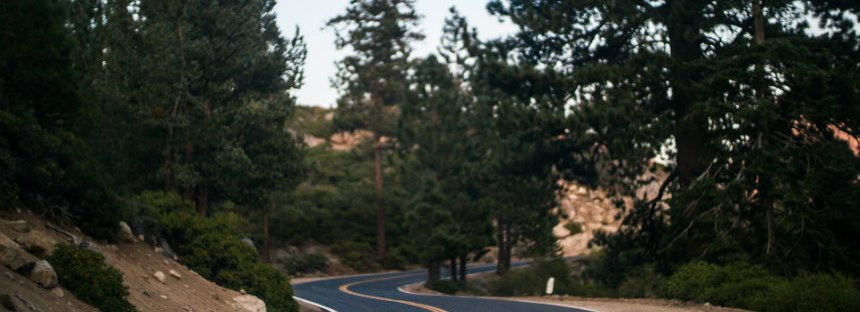 winding road in wods